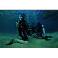 Discover Scuba Diving Including Sightseeing Boat Tour