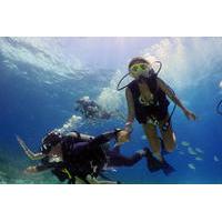 dive and drive cozumel adventure