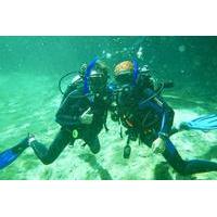 Discover Scuba in Cenote and Ocean Dive