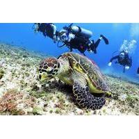 Discover Scuba Diving Course in Playa del Carmen