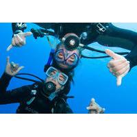 Discover Scuba Diving All-Inclusive Reef Tour