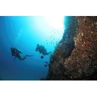 Discover Scuba Diving Experience for Beginners