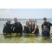 Discover Scuba Diving Adventure