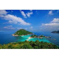 Diving Trip at Koh Tao from Koh Samui Including Lunch