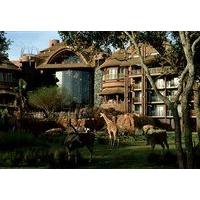 Disney\'s Animal Kingdom Lodge