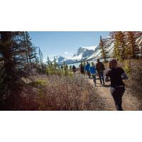 Discover the Canadian Rockies - Westbound