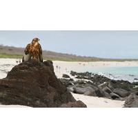 Discover Machu Picchu and Galápagos - Land & Sea Central Islands