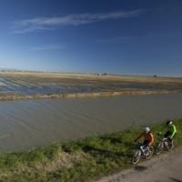 Discovering the Ebro Delta by bike