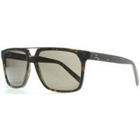 dior homme black tie 134s sunglasses tortoise 086