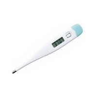 Digital Thermometer