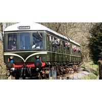 diesel train cab ride with kent and east sussex railway