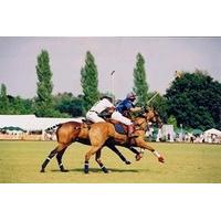 discover polo experience at westcroft park