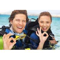 Discover Scuba Diving for Two