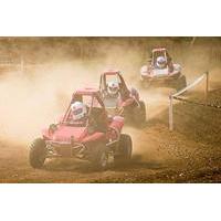 Dirt Buggies and Quad Bike Experience