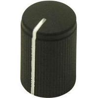 Dial Black (Ã x H) 10 mm x 15 mm Cliff FC7251 1 pc(s)