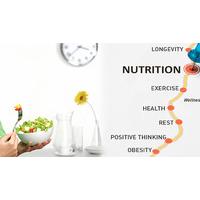 Diet and Nutrition Online Course