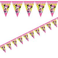 disney minnie mouse bow tique party flag bunting