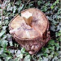 Diamond Log Splitter