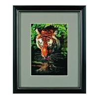 Dimensions Counted Cross Stitch Petite Kit Tiger Reflection