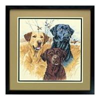 Dimensions Counted Cross Stitch ...