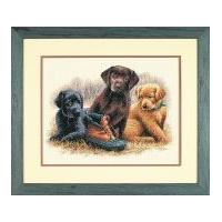 Dimensions Counted Cross Stitch Kit Chew Toy