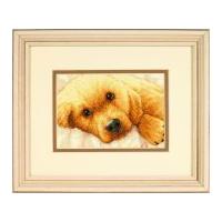 Dimensions Petite Counted Cross Stitch Kit Golden Puppy