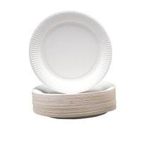 Disposable 230mm Paper Plates 1 x Pack of 100 1642