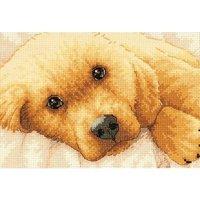 Dimensions Counted X Stitch - Gold Petite, Golden Puppy