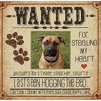 Dimensions Counted X Stitch - Do...