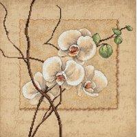 Dimensions Counted X Stitch - Oriental Orchids