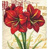 dimensions needlepoint kit elegant amaryllis