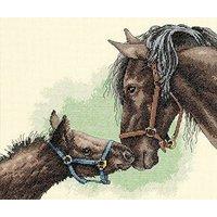 Dimensions Counted X Stitch - Mother And Colt