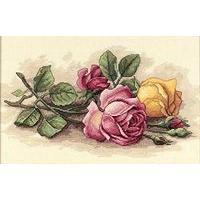 Dimensions Counted X Stitch - Ro...