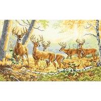 Dimensions Counted X Stitch - Gold, Summer\'s End