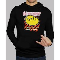 did you know? fifteen