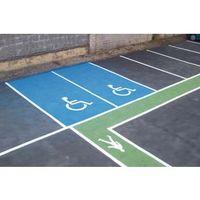 DISABLED LOGO - LARGE - WHITE