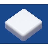 diptronics ktsc 21i ivory button 12 x 12mm square