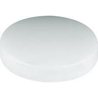 diffuser clear suitable for reflector 40 mm 01 brand mentor 25100300