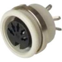 DIN connector Socket, vertical vertical Number of pins: 8 Grey Hirschmann MAB 8100 SN 1 pc(s)