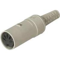 DIN connector Socket, straight Number of pins: 5 Grey Hirschmann MAK 50 S 1 pc(s)