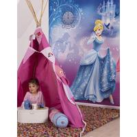 Disney Princess Cinderella\'s Night Photo Wall Mural 254 x 183 cm