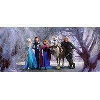 disney frozen wall mural 90cm x 202cm