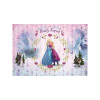 Disney Frozen Family Forever Photo Wall Mural 368 x 254 cm