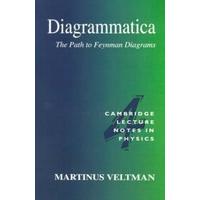 Diagrammatica The Path to Feynman Diagrams