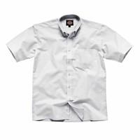 Dickies Short Sleeve Cotton/Polyester Oxford Shirt (Collar 19 Chest 56\