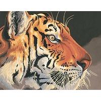 dimensions paintworks paint by numbers regal tiger kit