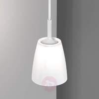 Dimmable Lana 11 LED hanging light