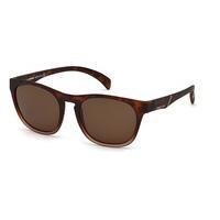 Diesel Sunglasses DL0170 56J