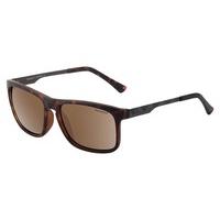 Dirty Dog Sunglasses Goat Polarized 53436