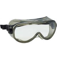 Dickies Dickies Basic Safety Goggle Clear